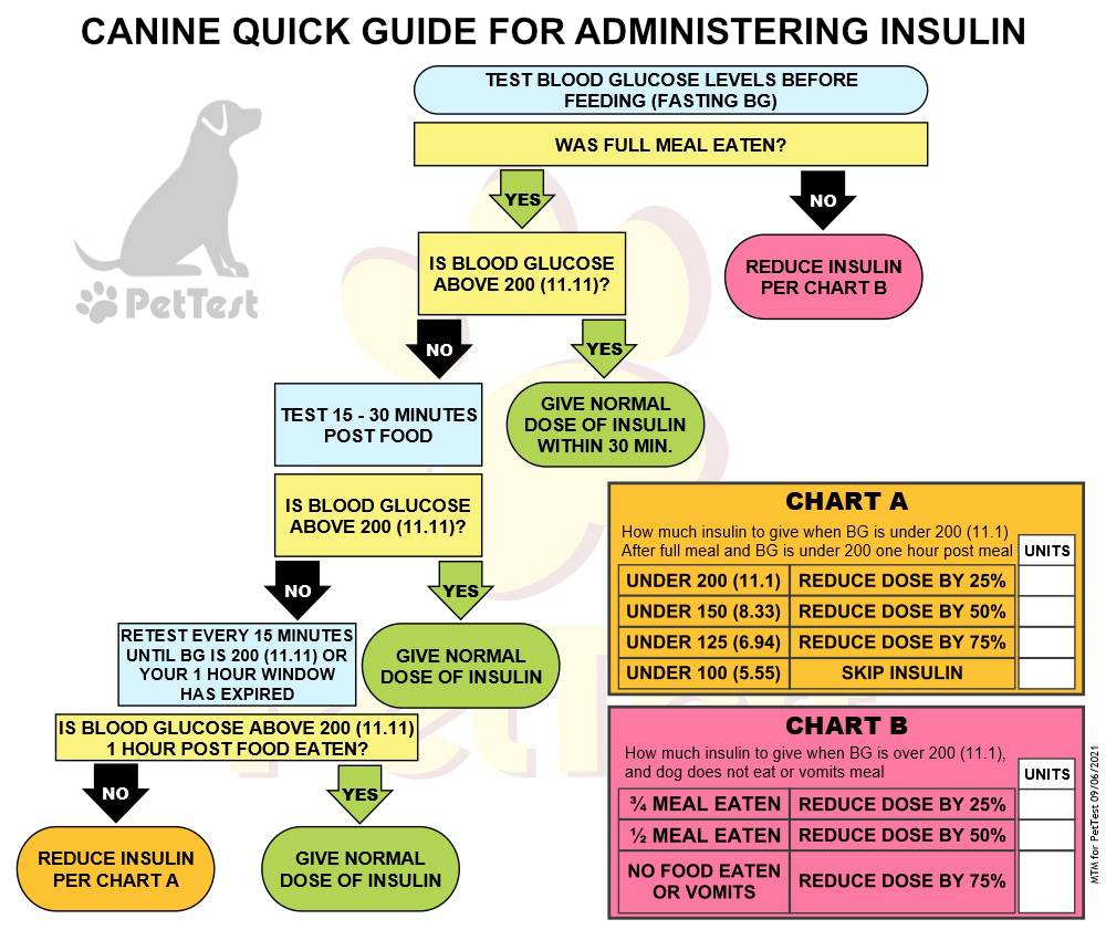Canine Quick Guide for Administering Insulin