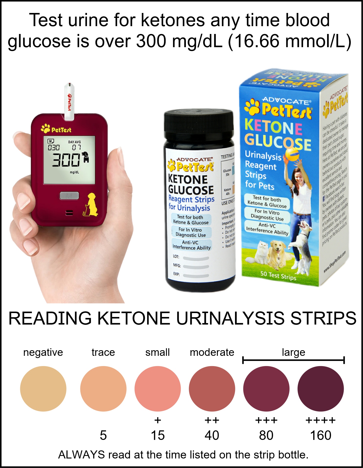 Test Urine for Ketones Blog for PT - ketone chart