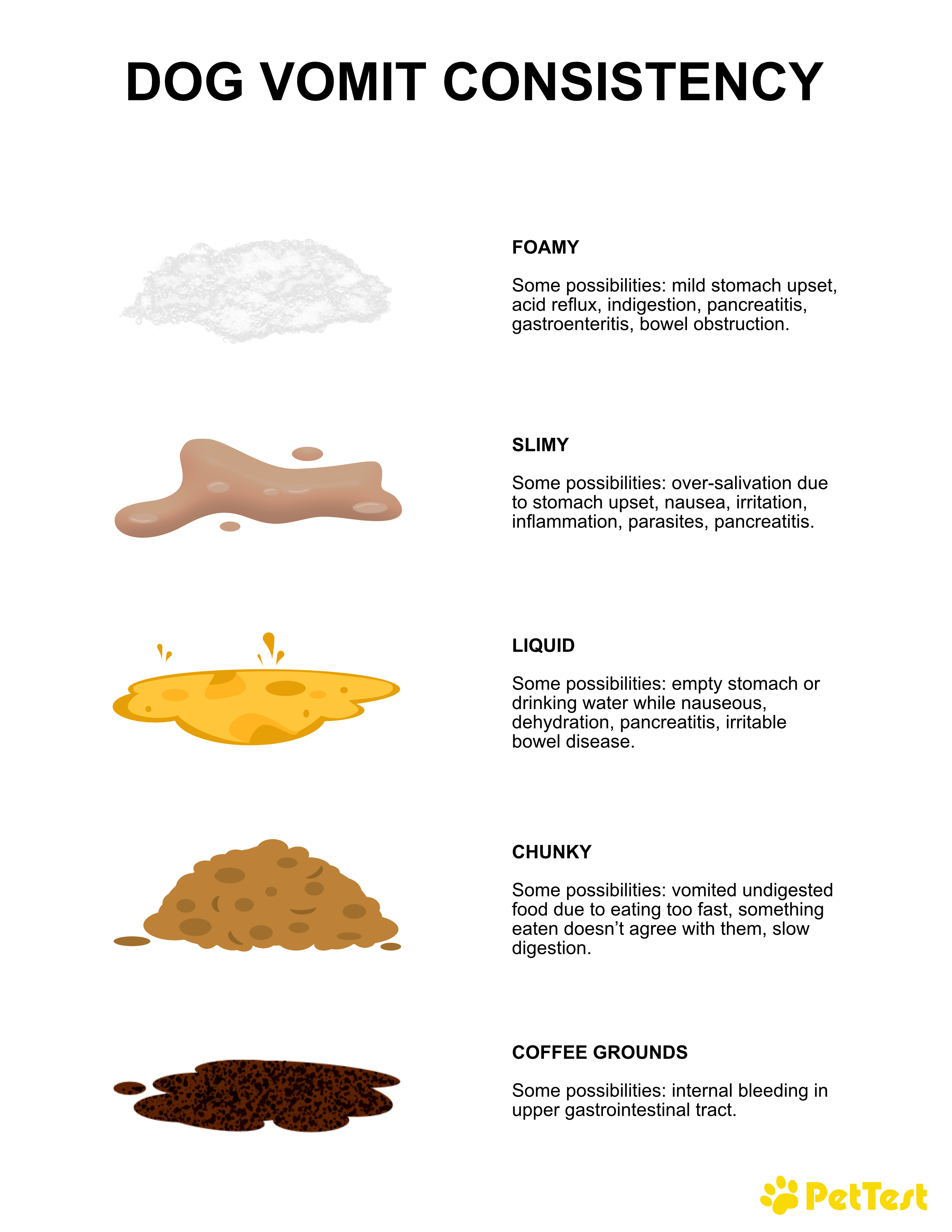 Dog Vomit Consistency USA mtm