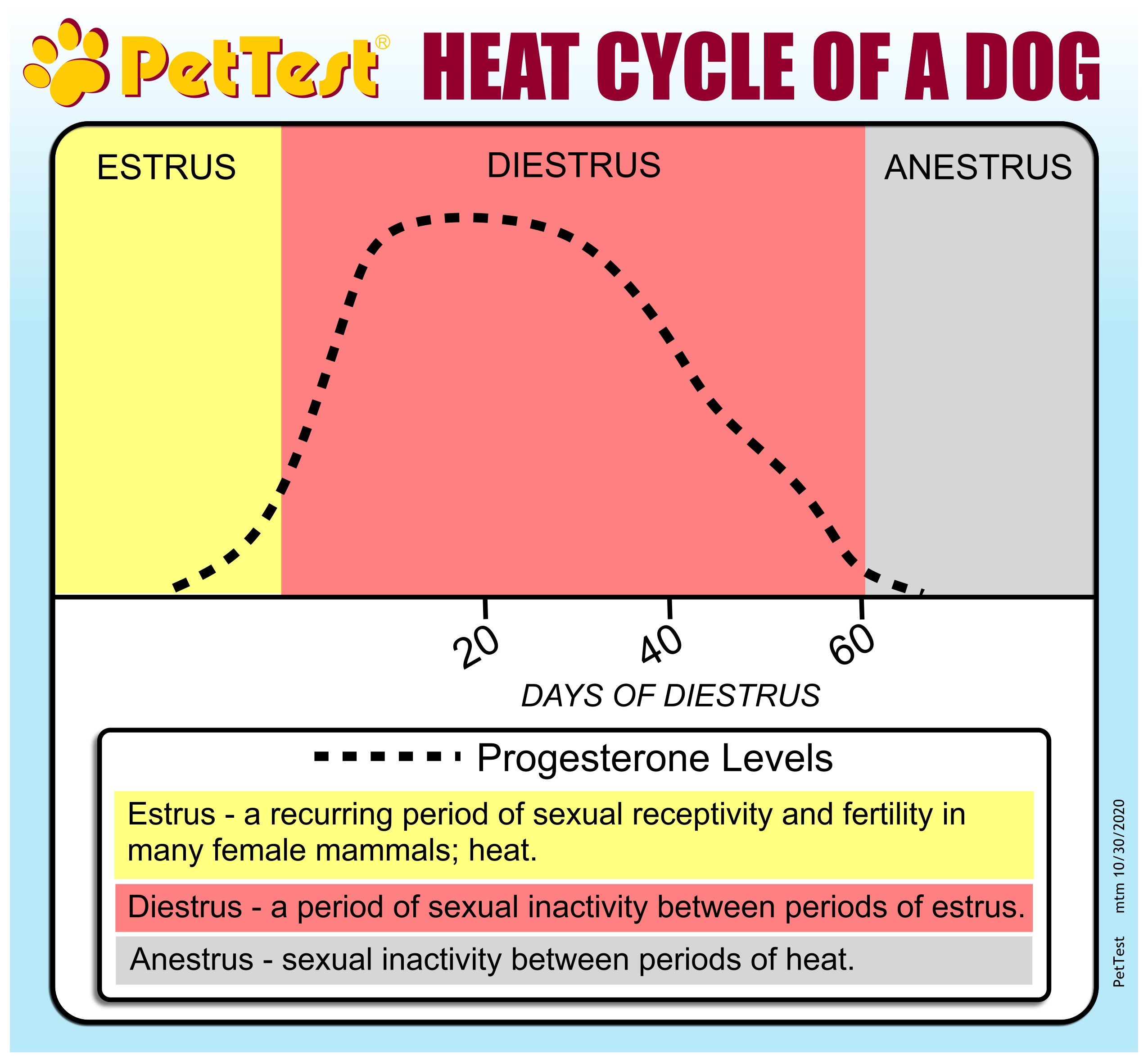 how fast do progesterone levels rise in dogs