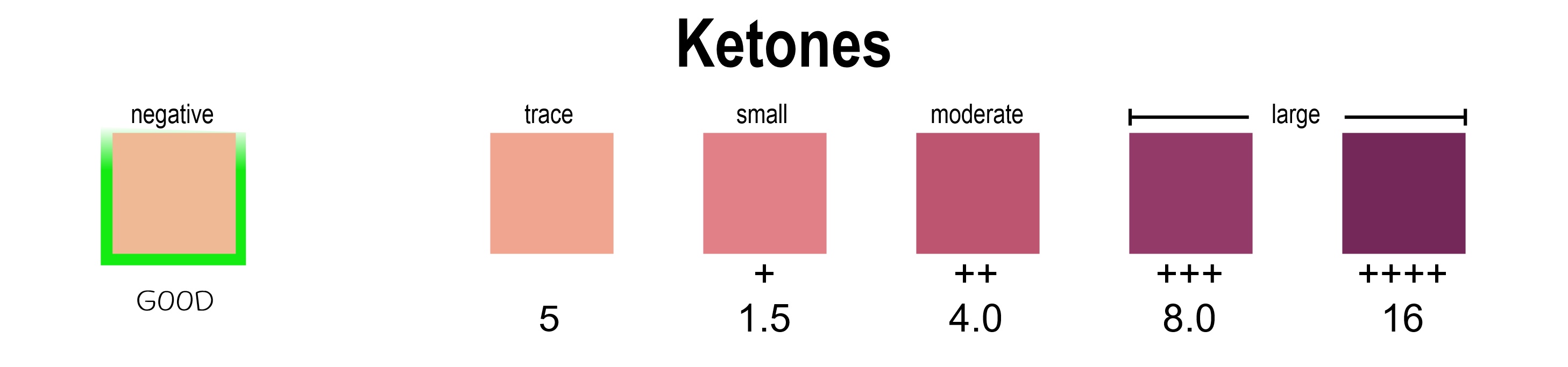 How to Read Urine Test Strips - Ketones for blog mtm