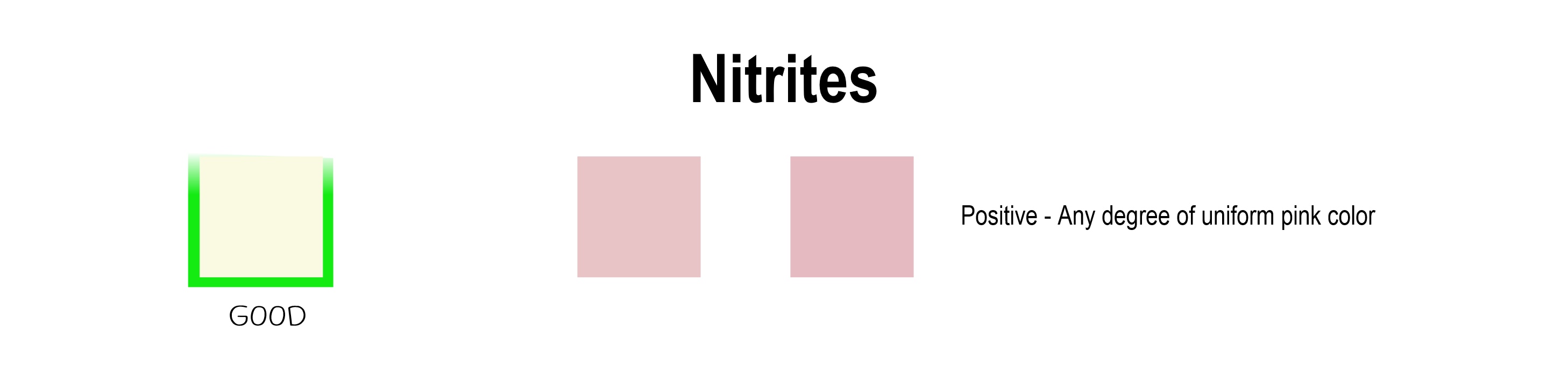 How to Read Urine Test Strips - Nitrites for blog mtm