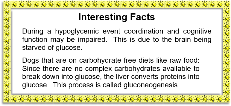 Interesting Facts: Hypo and Raw Fed for PT