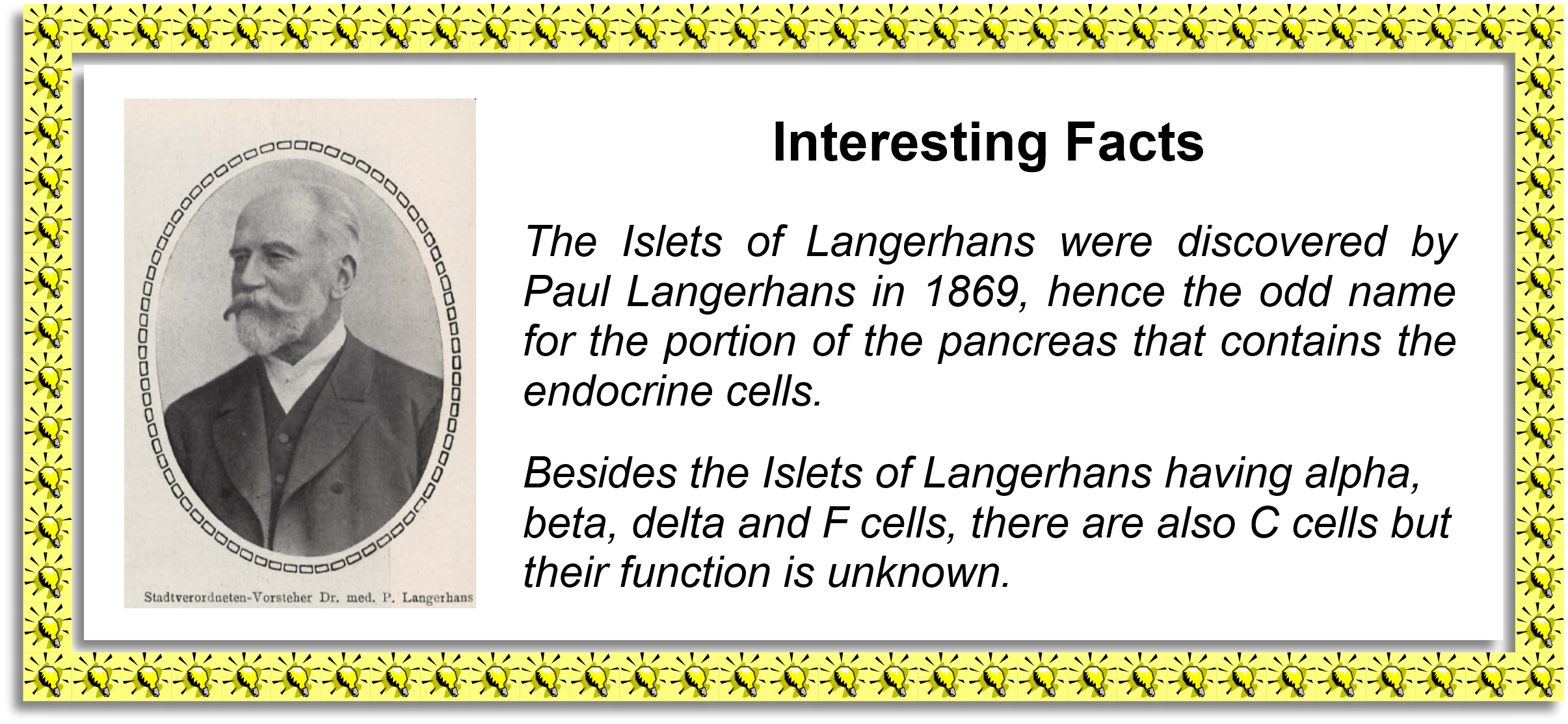 Interesting Facts - Langerhans
