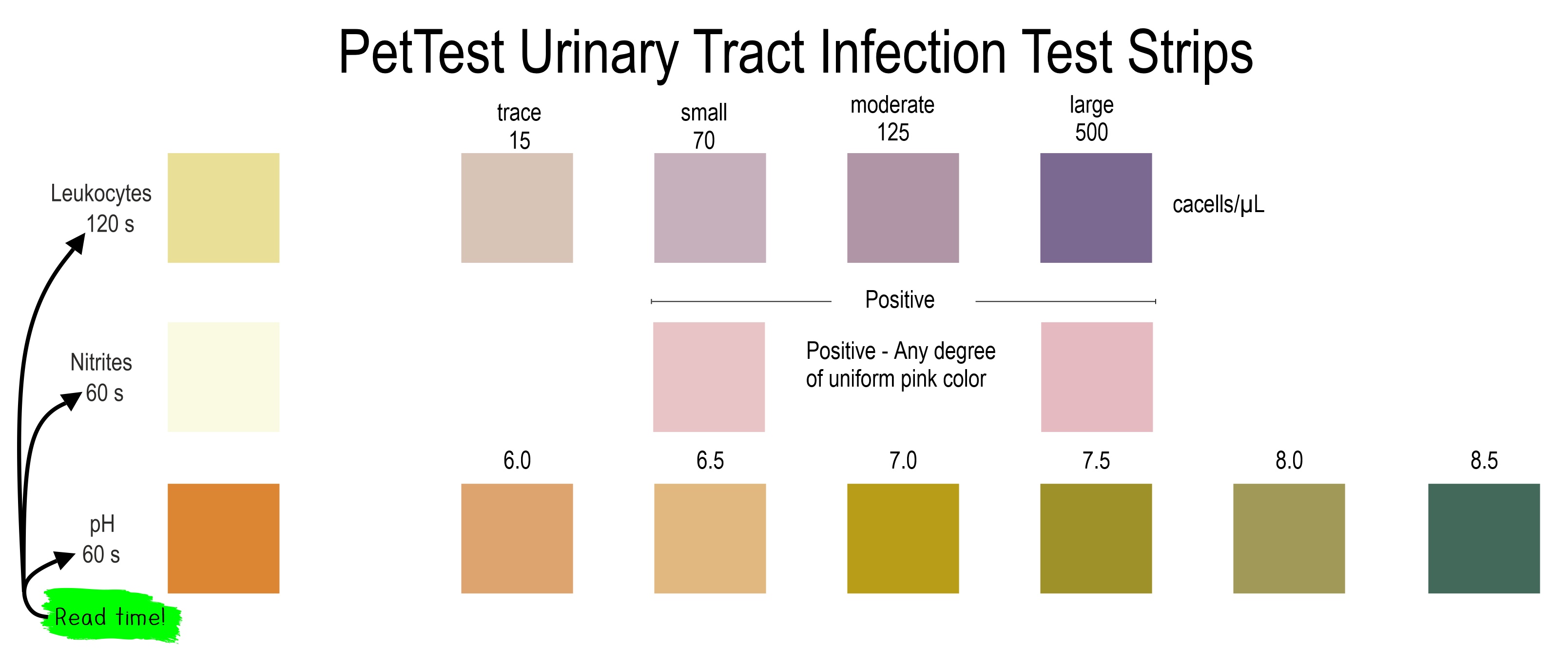 PetTest Urinary Tract Infection Test Strips When to Read for blog mtm