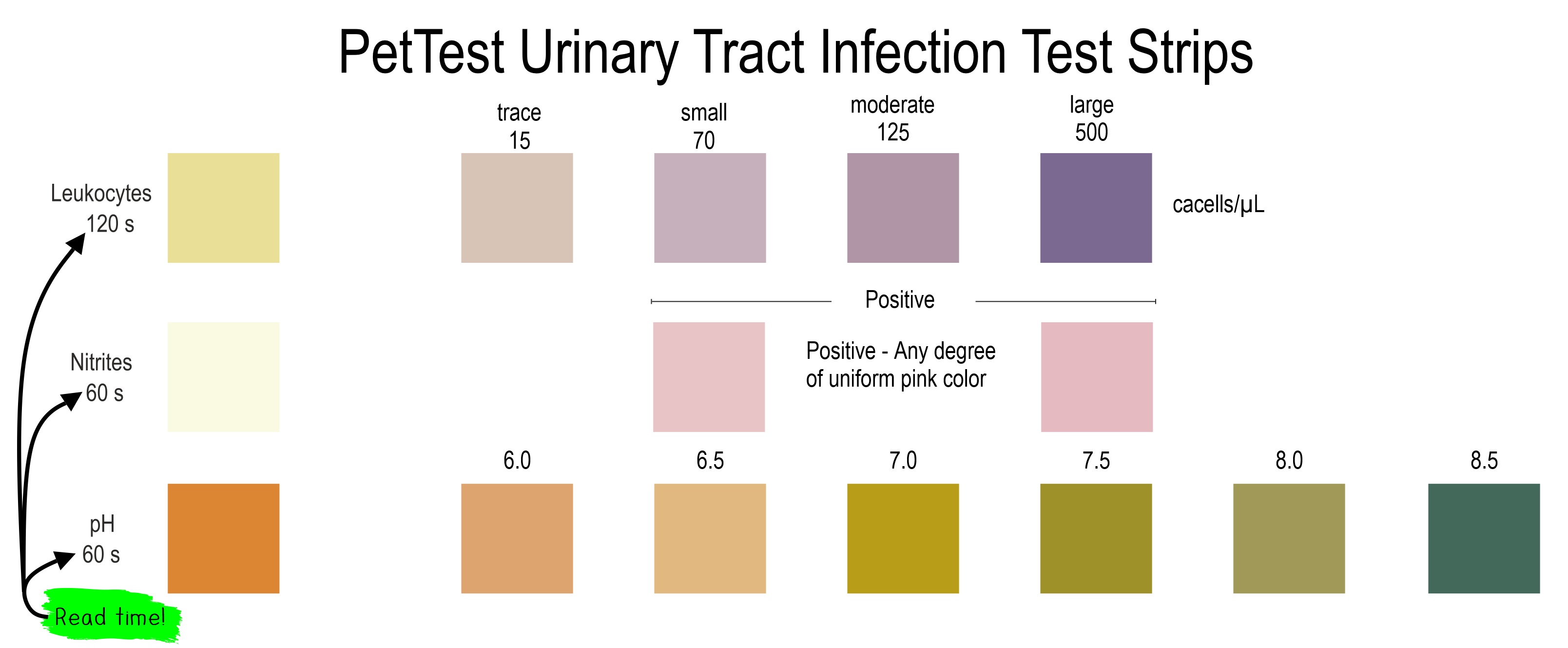 How To Read Urine Test Strips PetTest By Advocate