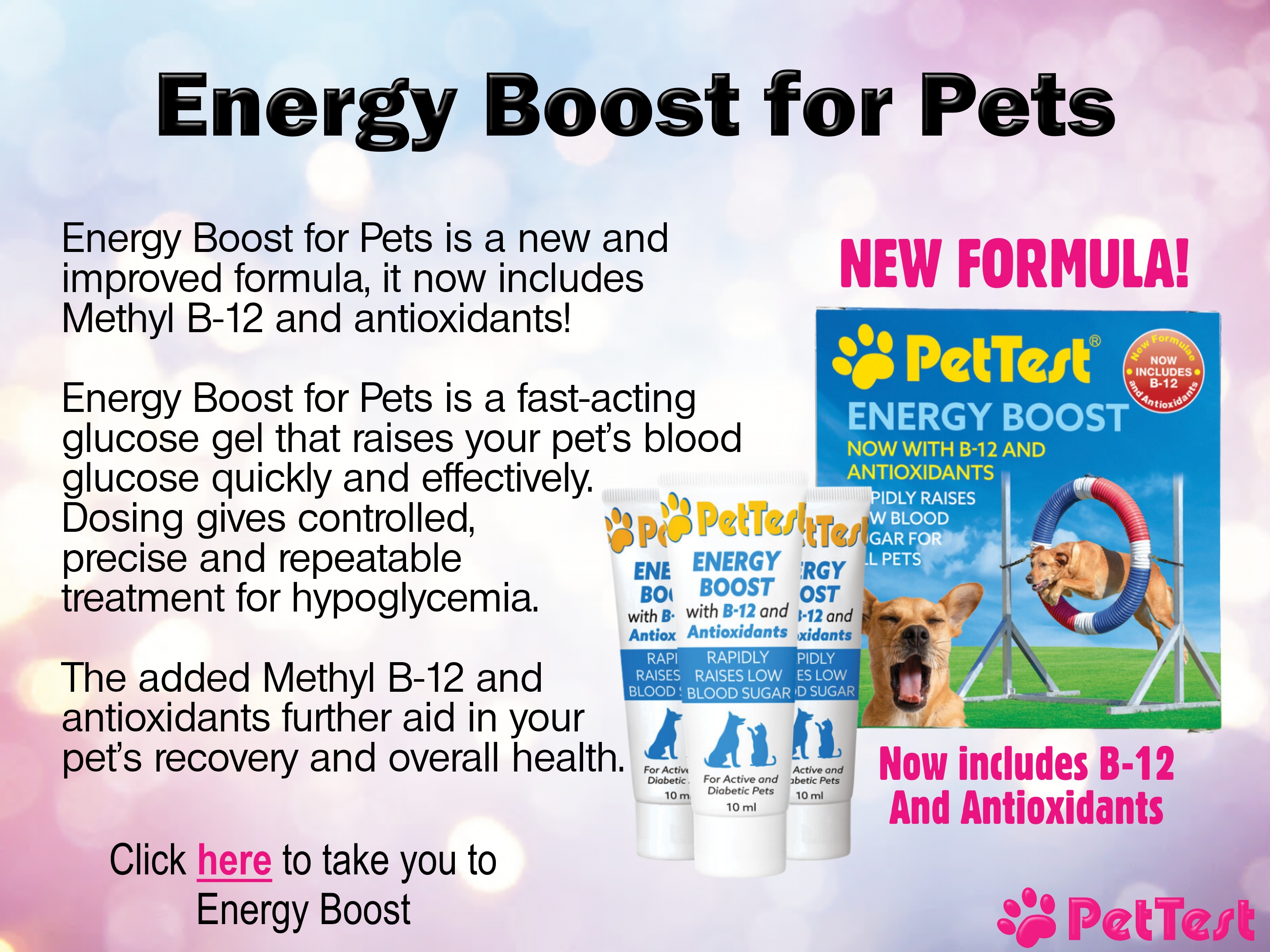 Product Spotlight May 2023 Energy Boost for Pet NEW blog