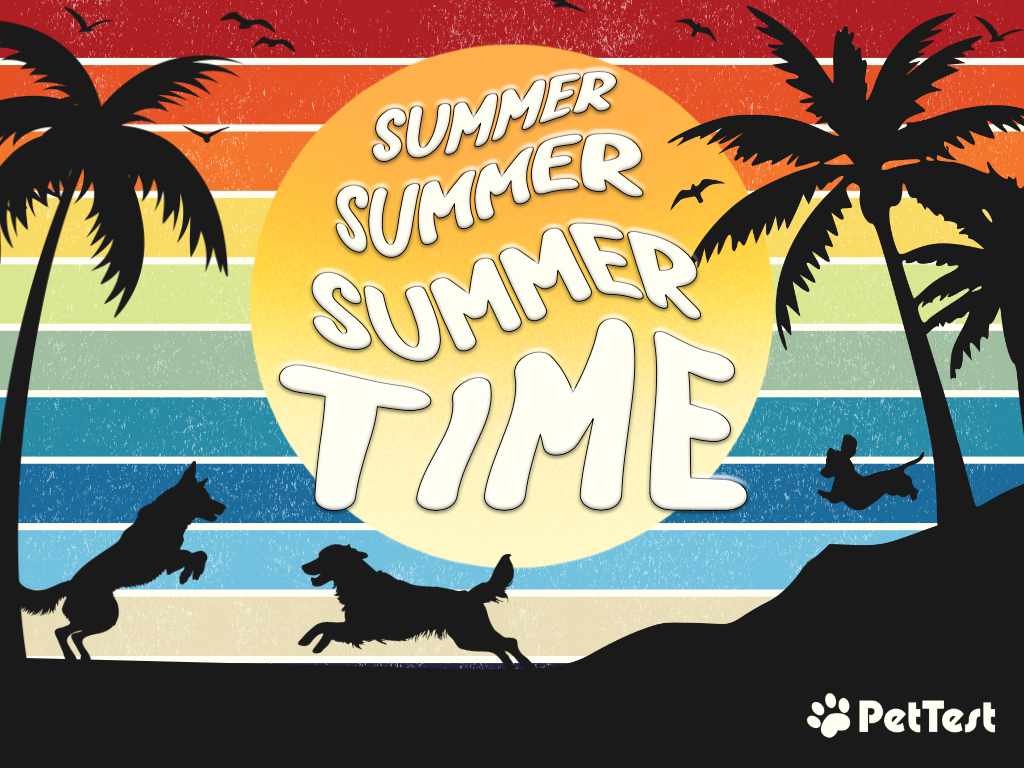 summer, Summer, SUMMERTIME usa mtm