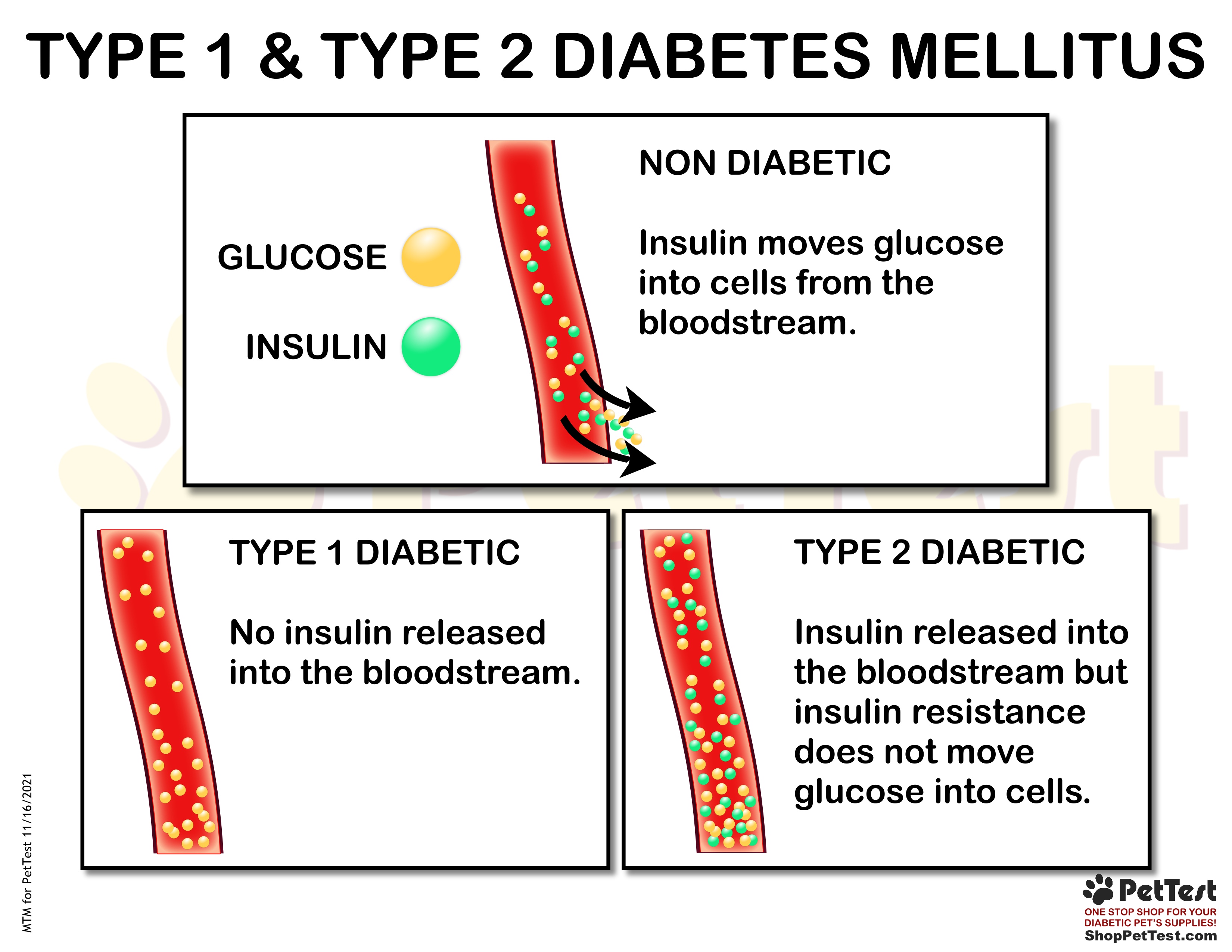 Type 1 and Type 2 Diabetes Mellitus for PT mtm