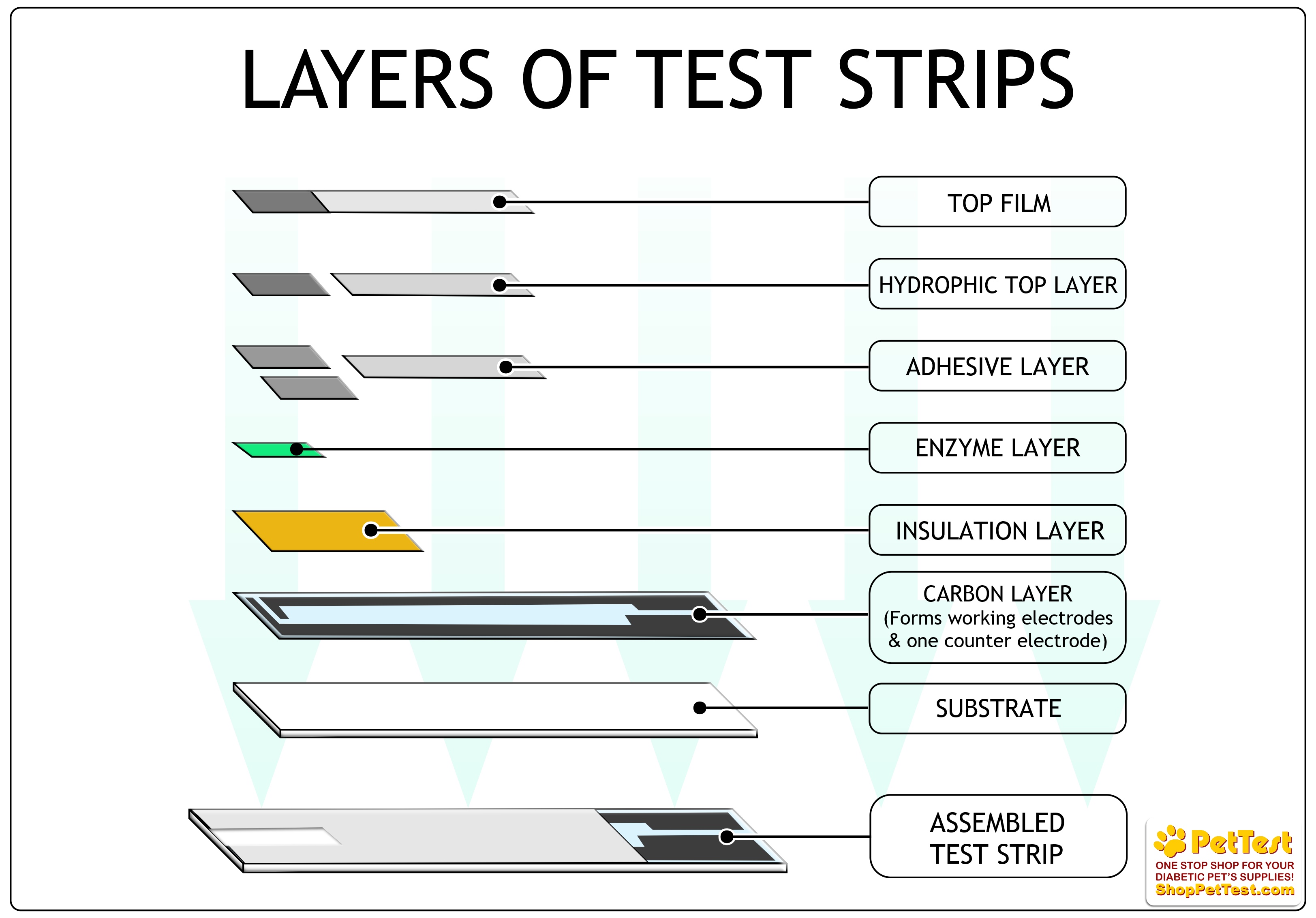 Layers of Test Strips for BG Meter blog mtm