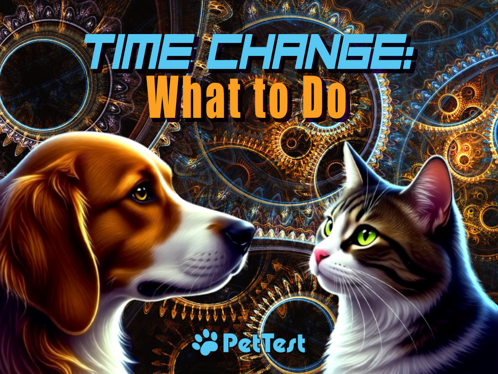 Time Change What to Do marquee blog mtm