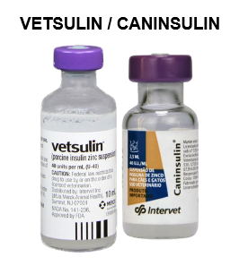Vetsulin Caninsulin for PT Blog mtm