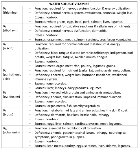 WS Vitamins Chart USA mtm